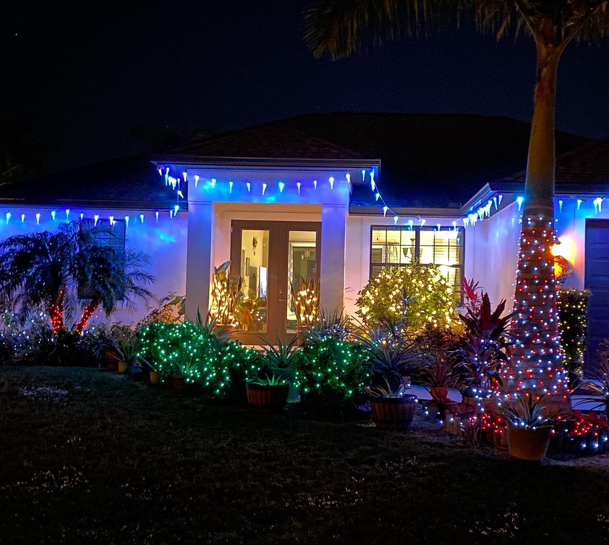 🎄🦌Holly Jolly Christmas ☃️🎅🏻🏝 tweet media