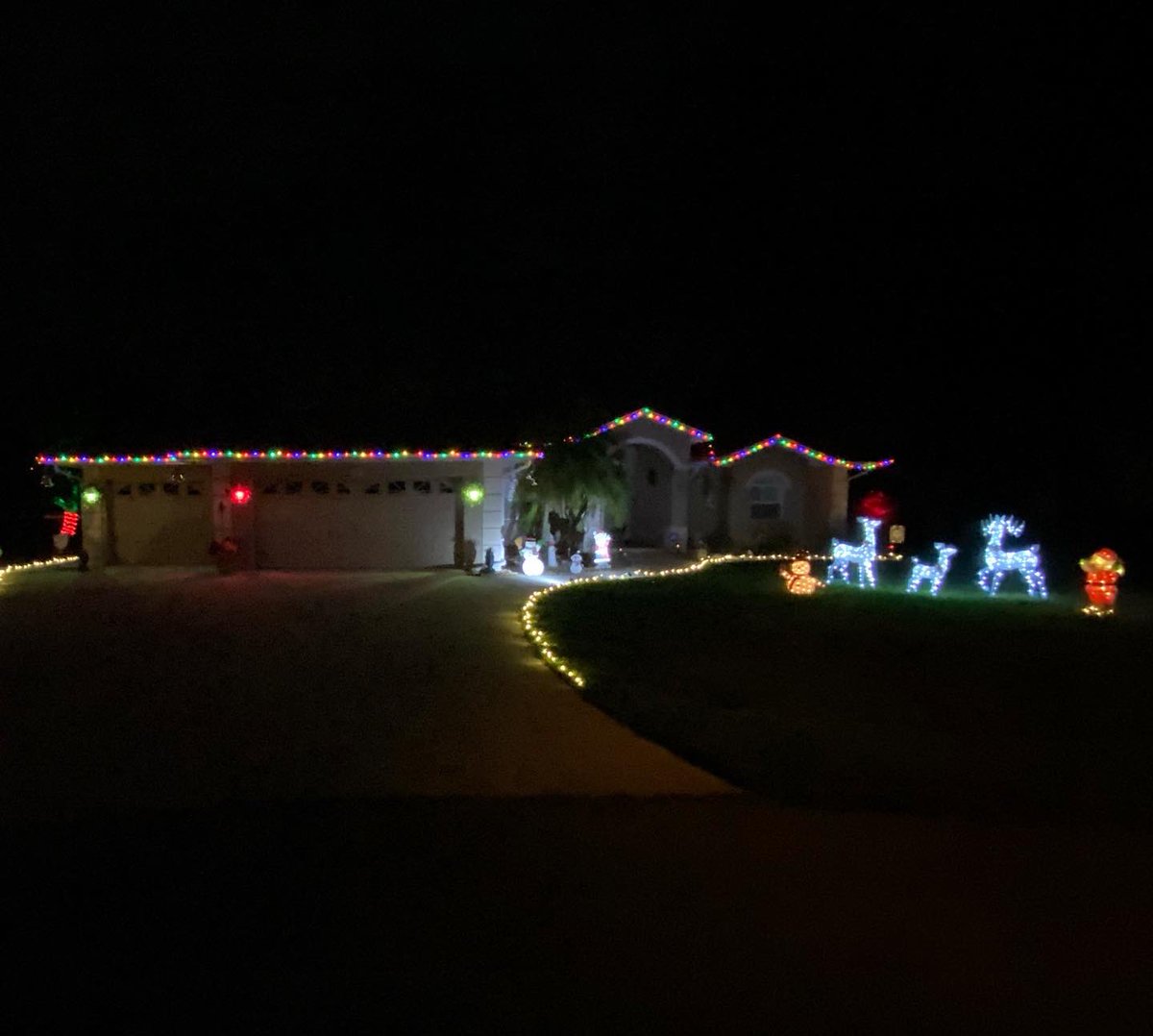 🎄🦌Holly Jolly Christmas ☃️🎅🏻🏝 tweet media