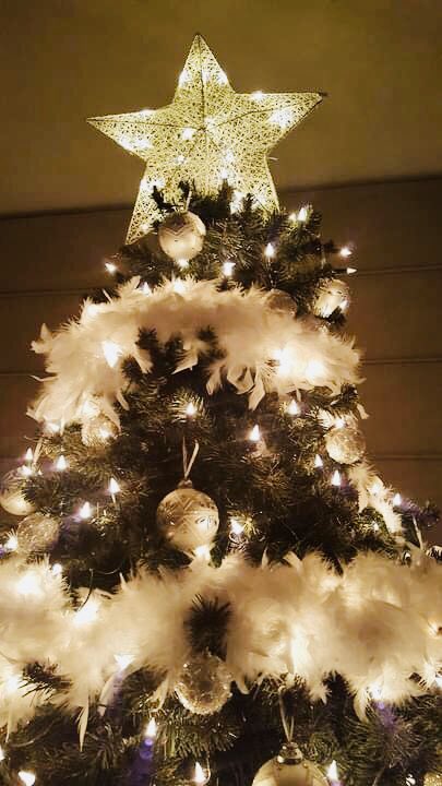 birdnestresort's tweet photo. It’s beginning to look a lot like Christmas! Spend it with your family at @birdnestresort , you’ll not regret it. 
Happy holidays fam. https://t.co/jMzR9IlJsO