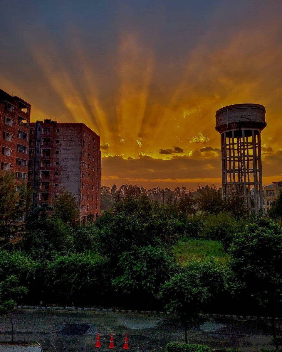lpuuniversity tweet picture