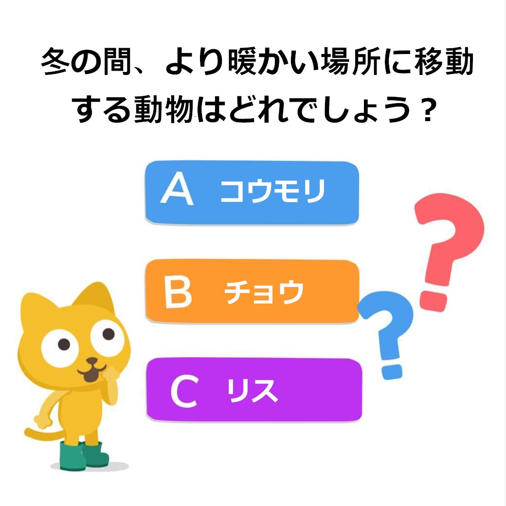 Studycat_JP's tweet photo. 冬は本当に寒い季節だ、という方はきっとたくさんいるでしょう☃️❄️
多くの動物は冬の間は冬眠していますが、中には季節に合わせて暖かい場所に移動する動物もいます。

さて、A、B、Cのうち暖かい場所へ移動する動物はどれでしょう？あなたの答えをコメント欄に書いてください ✏️

#Studycat #SmartEd https://t.co/3e6W9y8T8R