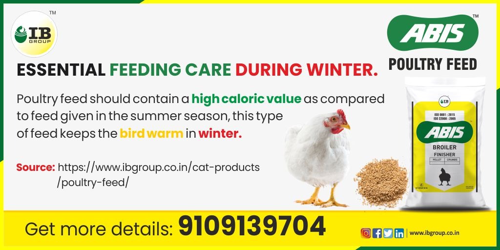 ibgroup_india's tweet photo. Take this precaution for your #Poultry during the winter season to keep your flock healthy, high-yielding, and profitable.
#IBGroup #ABISPoultryFeed @Dept_of_AHD  @gulrez_alam_197 #poultrybird #Pelletfeed #poultryindustry #profit #growth #farmers #Chicken #livestockfeed #Protein https://t.co/FqyjaFQHWL