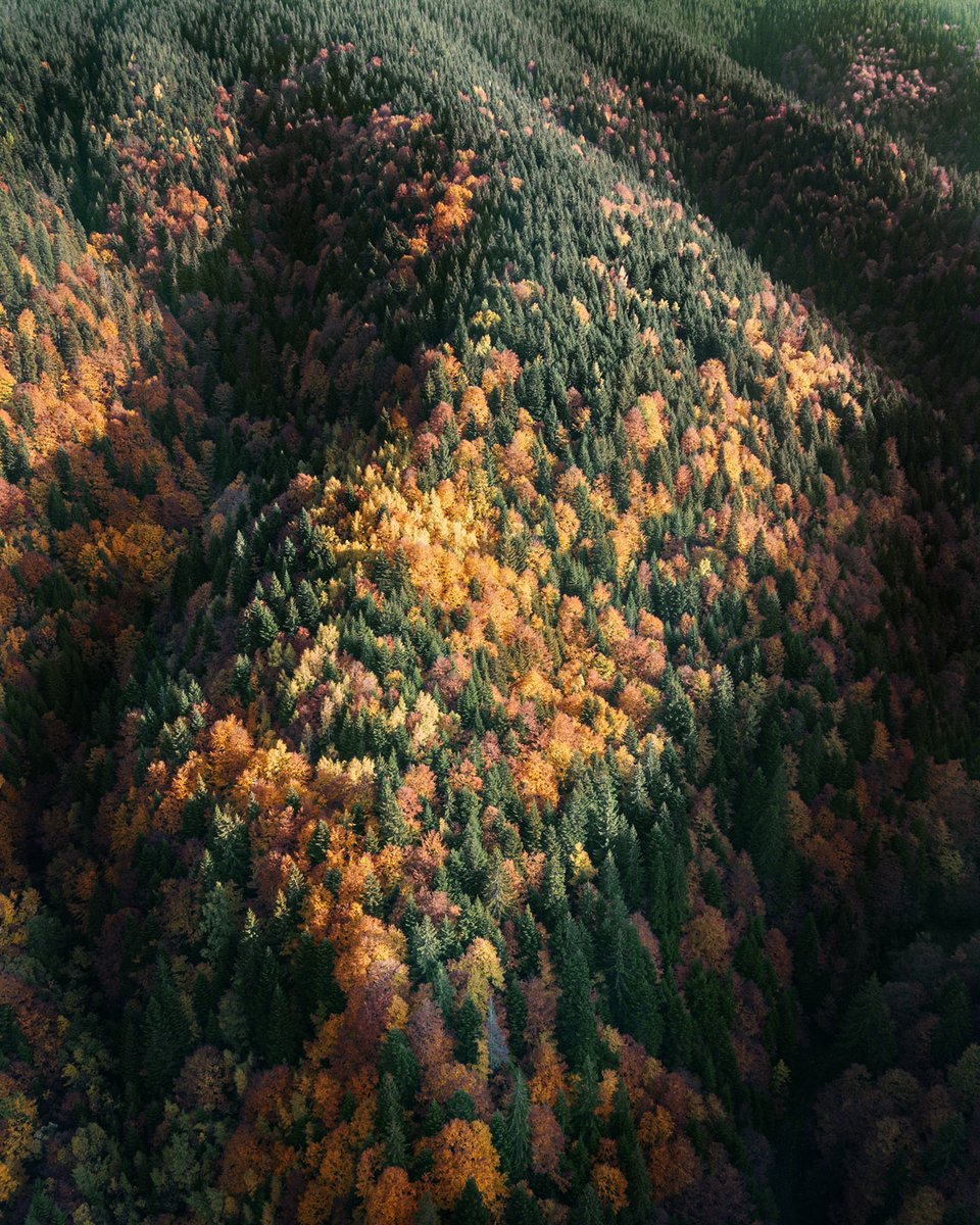 VB_Photography's tweet photo. My last autumn shot for this year. 
https://t.co/EYlmXRGpfB
#drone #mavicpro #dji #djiglobal @DJIGlobal https://t.co/crv1LMg8II