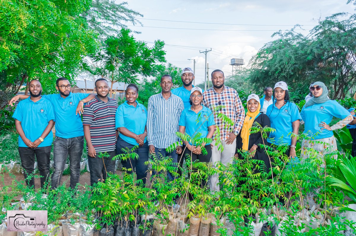 AbdikadirAdenKE's tweet photo. As we embark on attaining the Global Agenda on increasing trees cover, we must strengthen youth-led businesses in the forestry and agroforestry sectors for Sustainable Development. @UNDPKenya @NYC_YouthVoice @Environment_Ke
#YGreenKenya
#NYCinGarissa
#UNDPDeepingDevolution https://t.co/CKVqjfZOmg