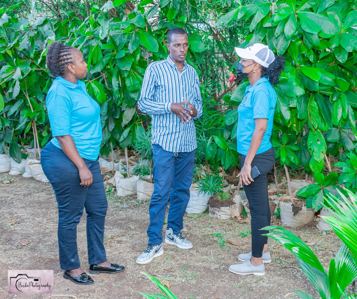 AbdikadirAdenKE's tweet photo. As we embark on attaining the Global Agenda on increasing trees cover, we must strengthen youth-led businesses in the forestry and agroforestry sectors for Sustainable Development. @UNDPKenya @NYC_YouthVoice @Environment_Ke
#YGreenKenya
#NYCinGarissa
#UNDPDeepingDevolution https://t.co/CKVqjfZOmg