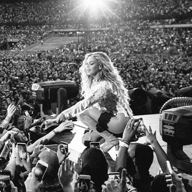 shepherd tweet media