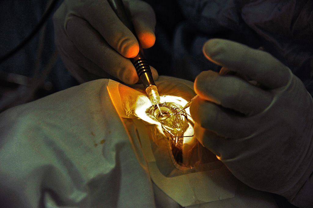 Nature World News tweet media