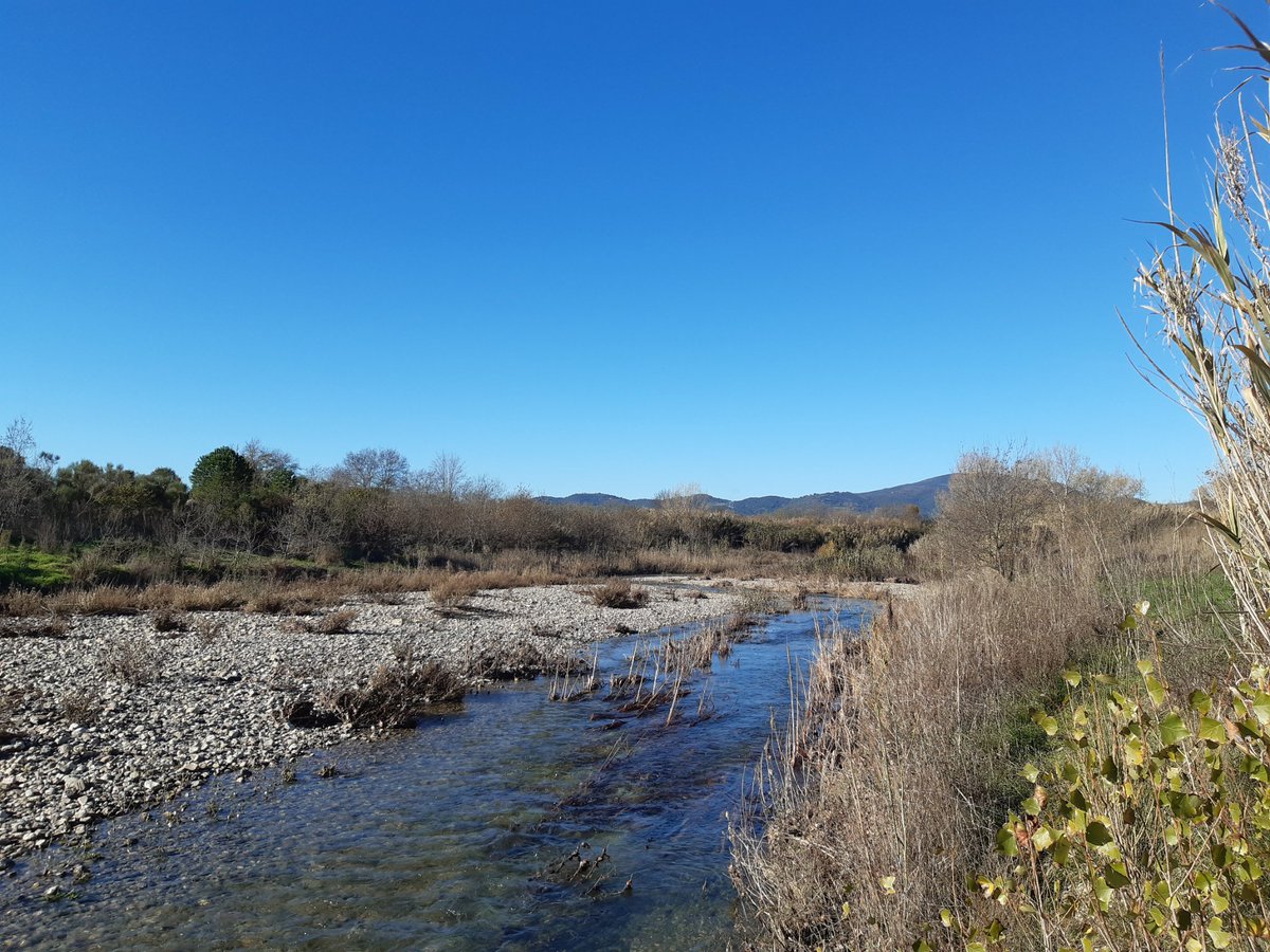 rudy_rossetto's tweet photo. 1/Last week we successfully closed 6 years long #EU #liferewat project. Restoring #aquifer is possible but it s a long way and not only #tech but #participation is a key answer to complex #water resources mgmt problems. @ScuolaSantAnna @LIFEprogramme @AgriAs_EU @eujwp @CORDIS_EU https://t.co/jLYrZwV5yr