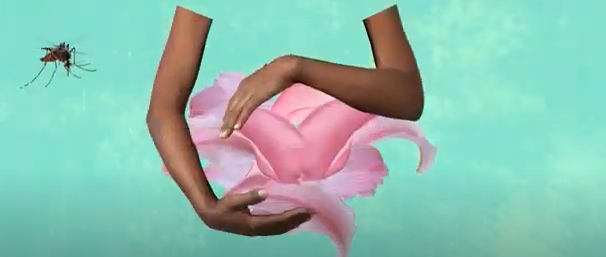 #Zika virus spreads through infected mosquito bites. If a pregnant woman is infected her baby is at risk of #CongenitalZikaSyndrome. Researchers collected data on how zika is transmitted in pregnancy &amp; the effects on babies.

Read this summary for more: bit.ly/3aL6BJt