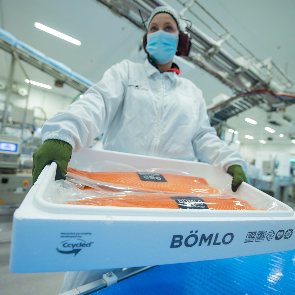 BASF's tweet photo. The world’s first #EPS fish boxes based on chemically recycled plastics introduced in Norway thanks to the cooperation of BASF, @vartdalplast and Bremnes Seashore. Read more here: https://t.co/1dFrdezPYx
#sustainablepackaging #circulareconomy #ChemCycling #fishboxes https://t.co/yKh6qLXavk