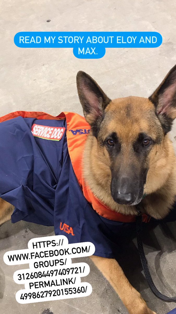 PoodleIn's tweet photo. Hereโs a story about a local Veteran and his service dog โMaxโ. He needed a cap and gown transformed fit for his dog and it was made in 2 days!
#servicedog #UTSA #UTSAGrad21 #SanAntonio #BirdsUp #roadrunners https://t.co/yLZu6mtBCn