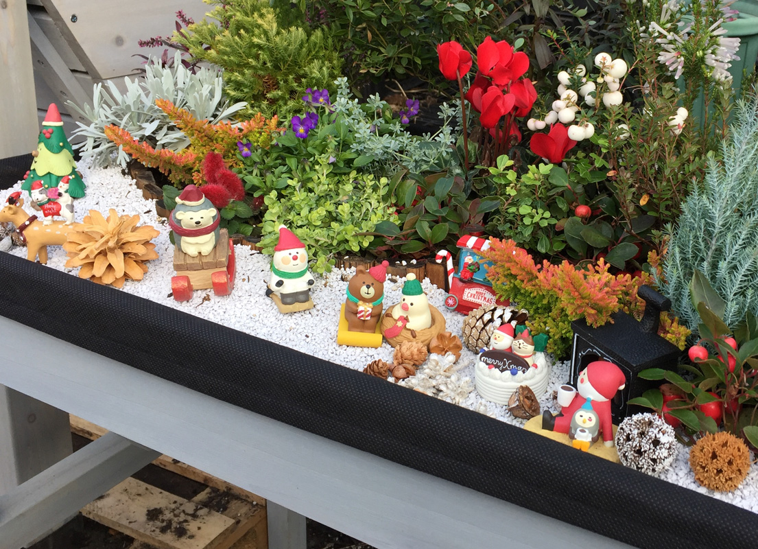 青山ガーデン Aoyama Garden Twitter