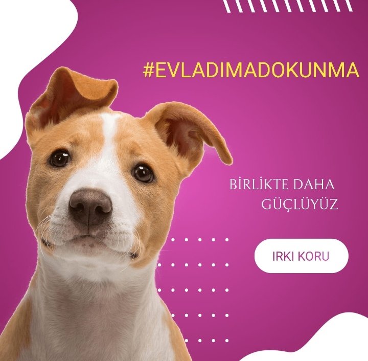 Basakpablo1209's tweet photo. #EVLADIMADOKUNMA https://t.co/ie18no22li