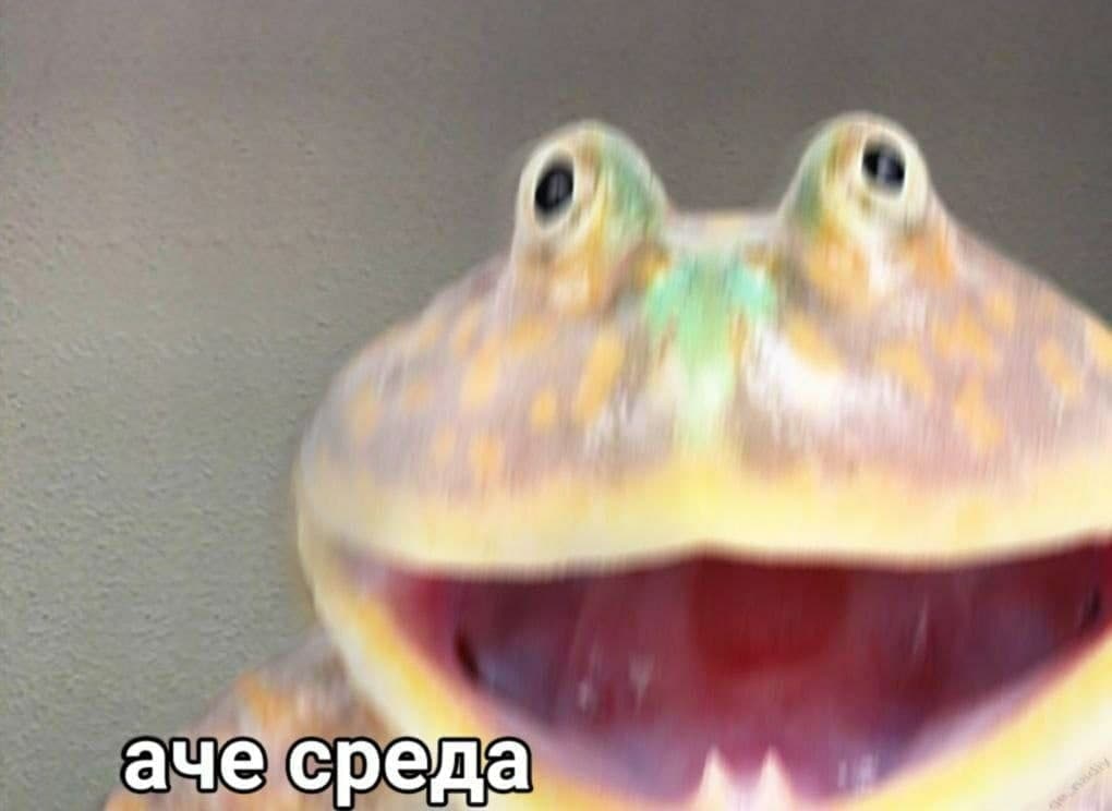 FGoZSXEXsAU-tw5?format=jpg&name=medium