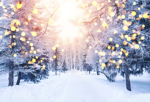 TaiChiFdn's tweet photo. Winter Tai Chi News. Read about Rest: A Radical Act in our latest newsletter:  https://t.co/DUBzznX37G https://t.co/AfMUGboZM5