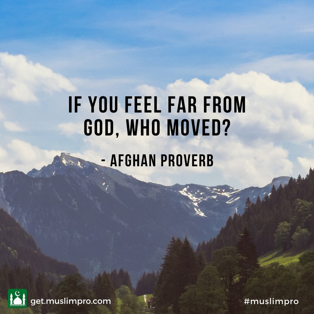MuslimPro's tweet photo. 𝗗𝗮𝗶𝗹𝘆 𝗜𝗻𝘀𝗽𝗶𝗿𝗮𝘁𝗶𝗼𝗻
This is such an amazing proverb! Allah s.w.t has never left us and will never leave us. Hence, if we feel empty and distant from Allah, we need to ask ourselves if we had strayed and distanced ourselves from him.
#MuslimPro #MuslimProCommunity https://t.co/KnmcfP5nou