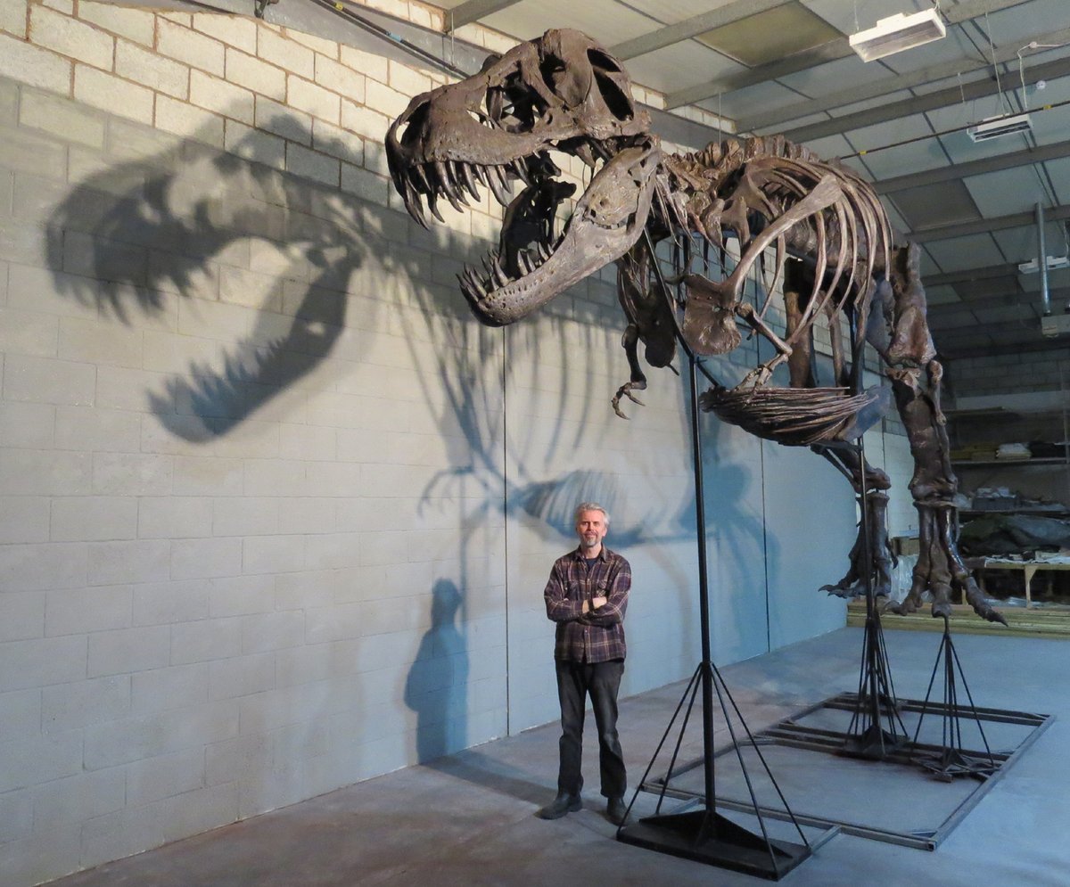 OriginalGCG's tweet photo. What did you do in lockdown @MrIchthyosaurus?
"I mounted a 12 m, 1/2 tonne T. rex from scratch"
Drops mic and walks away...
https://t.co/KUpSVbbkK5
#Dinosaur #Tyrannosaurus #Trex #Conservator #Preparator
@WollatonHall #TitusTrexIsKing https://t.co/CA2neCgbu4