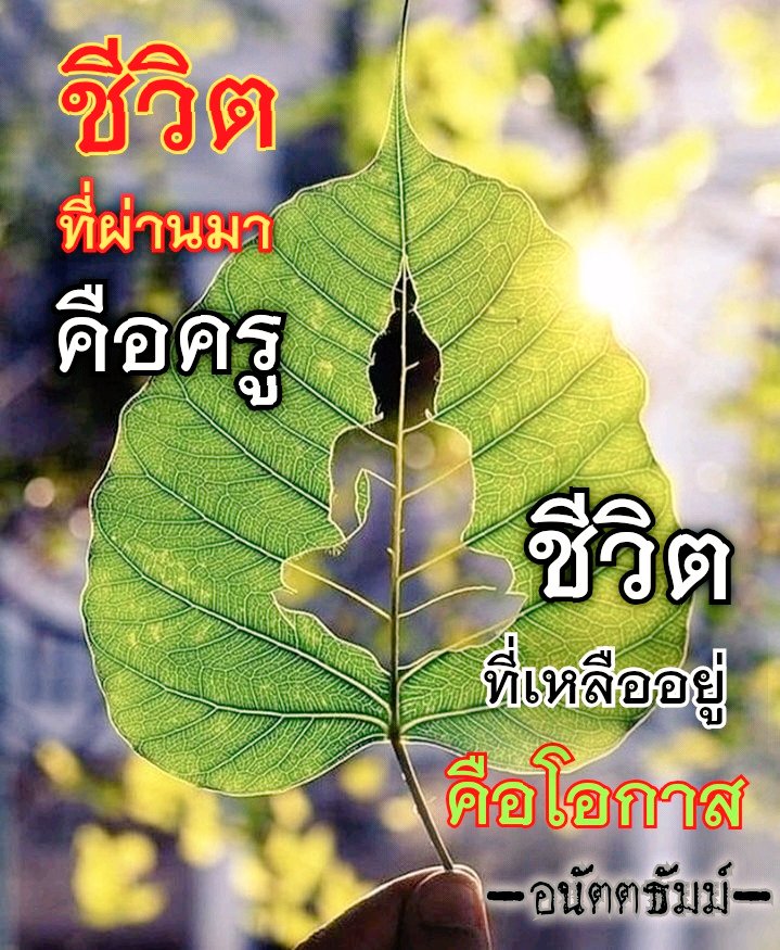 อนัตตธัมม์ tweet media