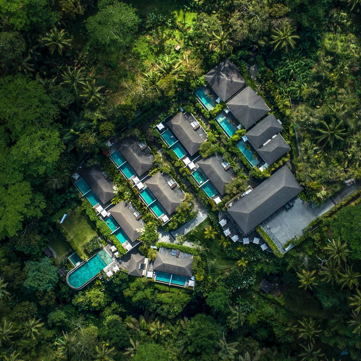 SamsaraUbud's tweet photo. Discover #tropical #island living with us and get ready to make the most of your stay at #SamsaraUbud with our special offers, all curated to ensure for unforgettable #memories to #celebrate your #festive #holidays.
#ubud #bali #indtravel #wonderfulindonesia #pesonaindonesia https://t.co/PJmcYzNntQ