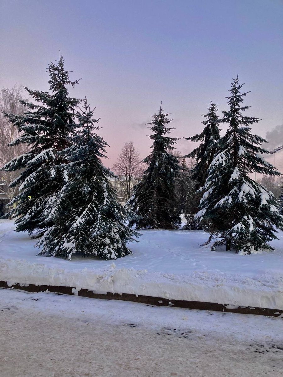 Sever_pravda's tweet photo. Пушистые красавицы 🌲

А вы дома уже нарядили праздничную елочку?

📷: Юлия Бакова https://t.co/q2EZSZisZg