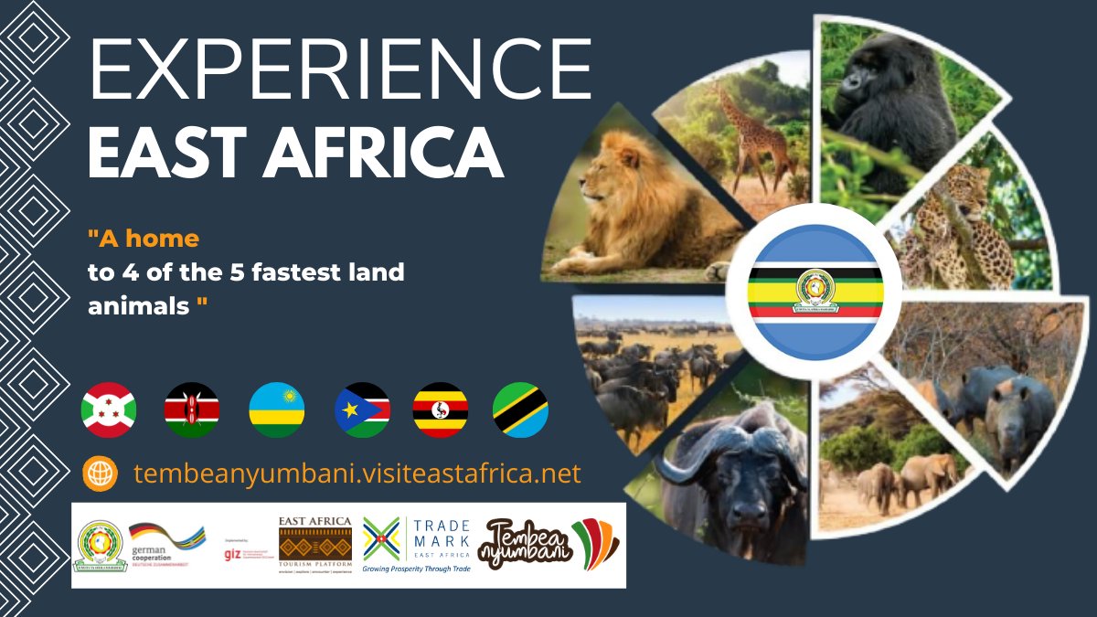 eacgiz's tweet photo. The EAC's #TembeaNyumbani Campaign reminds East Africans that the EAC is a single tourist destination. Enjoy the beatuy of your home region this festive season & beyond! #visithome #nothingbeatshome #tourism #TransformingEAC @EA_Tourism https://t.co/EPhypSdhXb