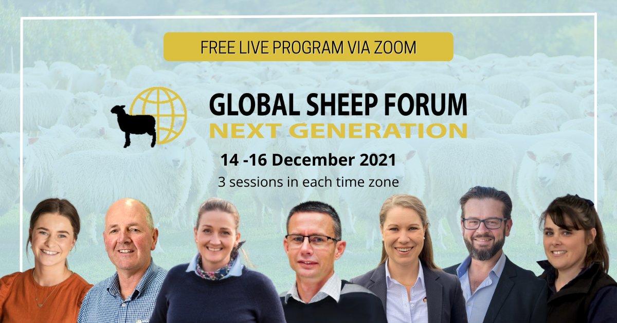 Global Sheep Forum tweet media
