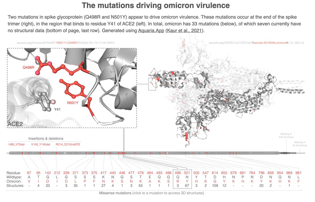 For rapid access to structural information about the variations in #omicron, we (lab of <a href="/seaniod/">Sean O'Donoghue</a>) have created an info graphic: aquaria.app/omicron
Many of the variations are present in structures of #SARSCoV2 or #SARSCoV. Click on the number of structures to view them.