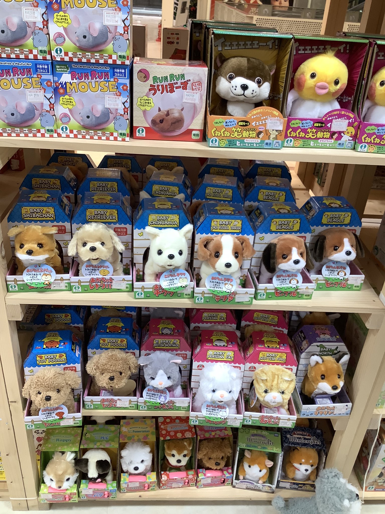 おもちゃのヨシダ札幌店 大空スタッフ イワヤさんのぬいぐるみコーナーです シッポを振ったりピョンピョン飛び歩きしたり撫でるとおしゃべりしたり眠るお手伝いをしたり本物の動物の鳴き声も出します きっとお気に入りが見つかります おもちゃのヨシダ
