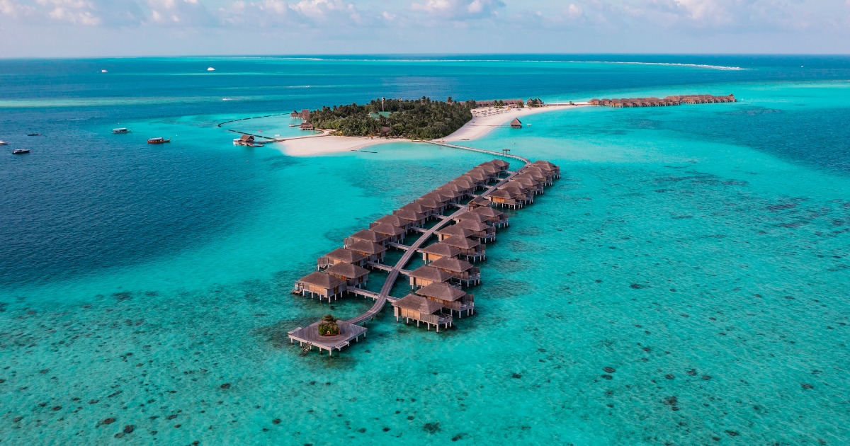 MAXMaldives (@max_maldives) on Twitter photo Tactical 40% Discount Special Offer
maxmaldives.com/hotels/constan…
#Moofushi #ConstanceMoofushi #Constance_Moofushi #Constance_Maldives #Moofushi_Resort #Constance_Moofushi_Resort #ConstanceMoofushi_Maldives
maxmaldives.com <a href="/MAX_maldives/">MAXMaldives</a> #MAXMaldives info@MaxMaldives.com Tactical 40% Discount Special Offer
maxmaldives.com/hotels/constan…
#Moofushi #ConstanceMoofushi #Constance_Moofushi #Constance_Maldives #Moofushi_Resort #Constance_Moofushi_Resort #ConstanceMoofushi_Maldives
maxmaldives.com <a href="/MAX_maldives/">MAXMaldives</a> #MAXMaldives info@MaxMaldives.com