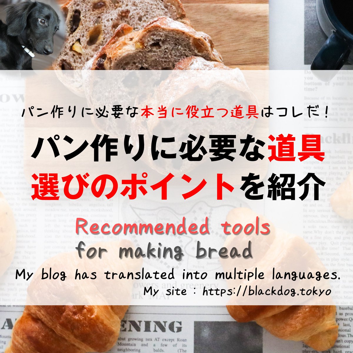 blackdog1tokyo's tweet image. パン作りをこれから始めようという方や、すでにパン作りはやっているのだけど、他の人がどんな道具をつかっているか気になる方に、僕が実際にパン作りをするときに使っている本当に役立つパン作りの道具を紹介します😉

詳しい本文はブログで😆
↓
bit.ly/3ytQScT

#パン #パン作り