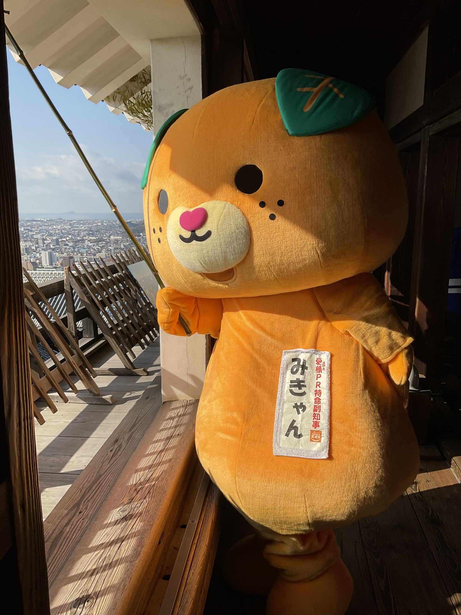 みきゃん 公式 愛媛県イメージアップキャラクター こんにちきゃん ᆺ きょうは松山城のすす払いに行ってきたんよ きれいになったけ ん これで気持ちよく22年が迎えれるねぇ 今年も残り少し 愛顔できゃんばろうね みきゃん 公式 愛媛県イメージアップキャラクター こんにちきゃん ᆺ きょうは松山城のすす払いに行ってきたんよ きれいになったけ ん これで気持ちよく22年が迎えれるねぇ 今年も残り少し 愛顔できゃんばろうね