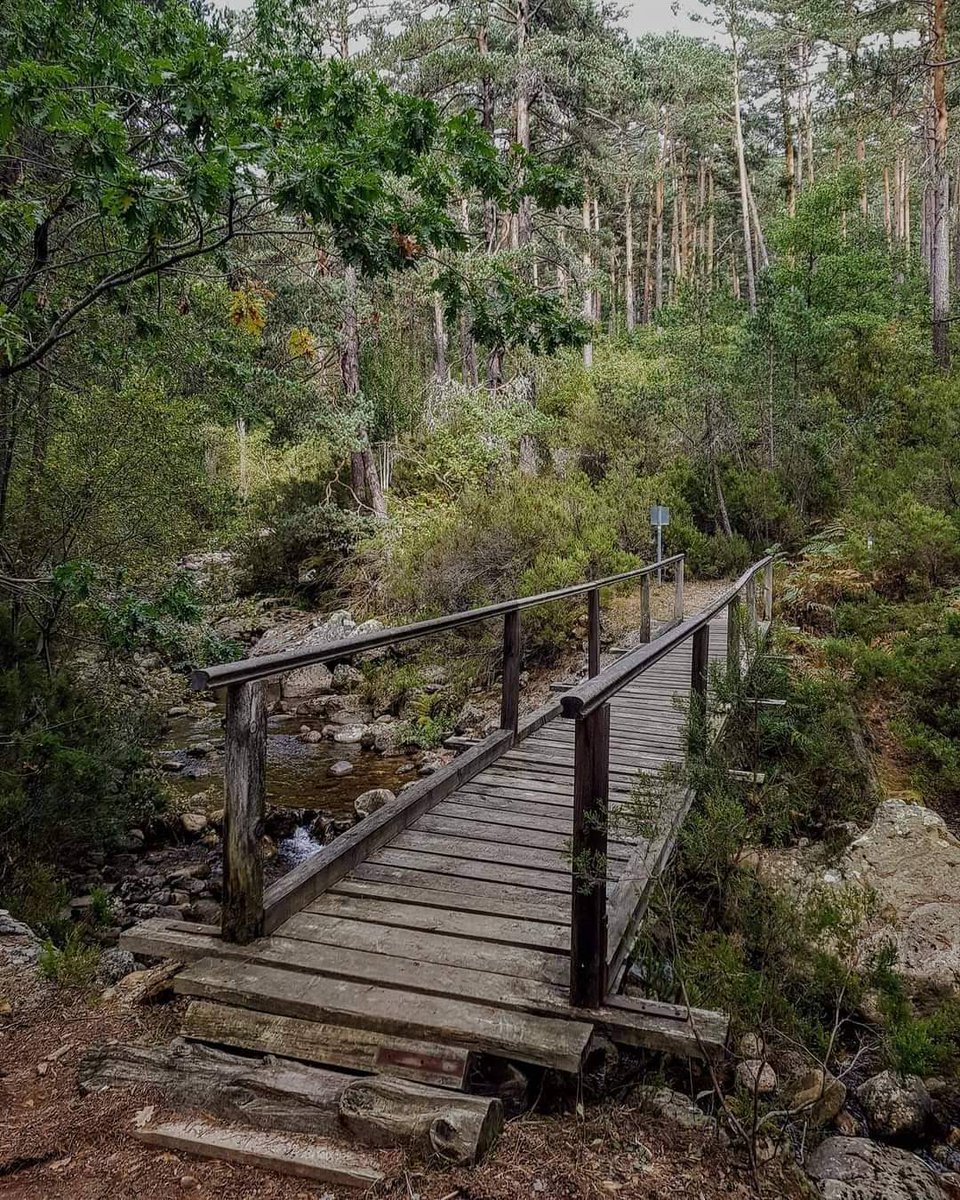 DurueloSideral's tweet photo. ¡El paraíso terrenal!
A veces por no dedicarle el tiempo adecuado nos perdemos lo mejor de la naturaleza, disfrutarla
Recomendamos salir de la visita habitual y ascender a Casrroviejo por la Ruta de las Cascadas I

📸 Paso Chalán 

#soria #senderismo #soriaestademoda @cylesvida https://t.co/BT13lMscqf