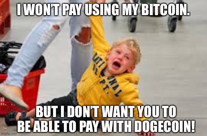 Clean up of bitcoin maxis in isle 69 please $doge