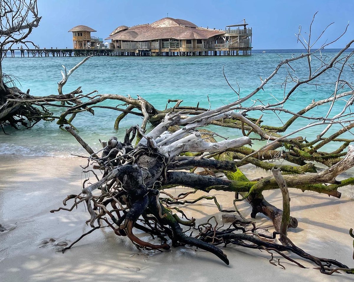 Factor_Fifty's tweet image. Haven’t worn shoes for two weeks and don’t ever want to again. Few days left of #360 #Filming in #sonevafushi and #sonevajani  #maldives #islandlife