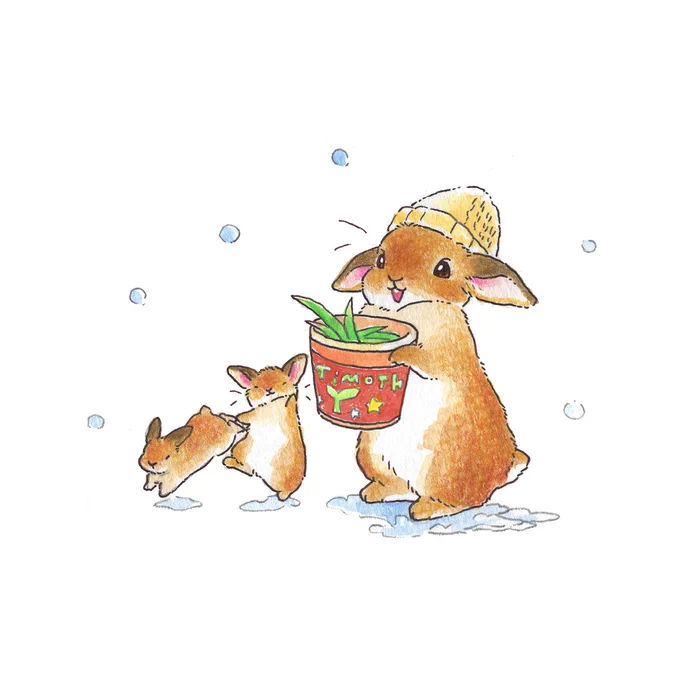 🎄Xmas✨

チモシーバーレル

買っちゃった♪ 
