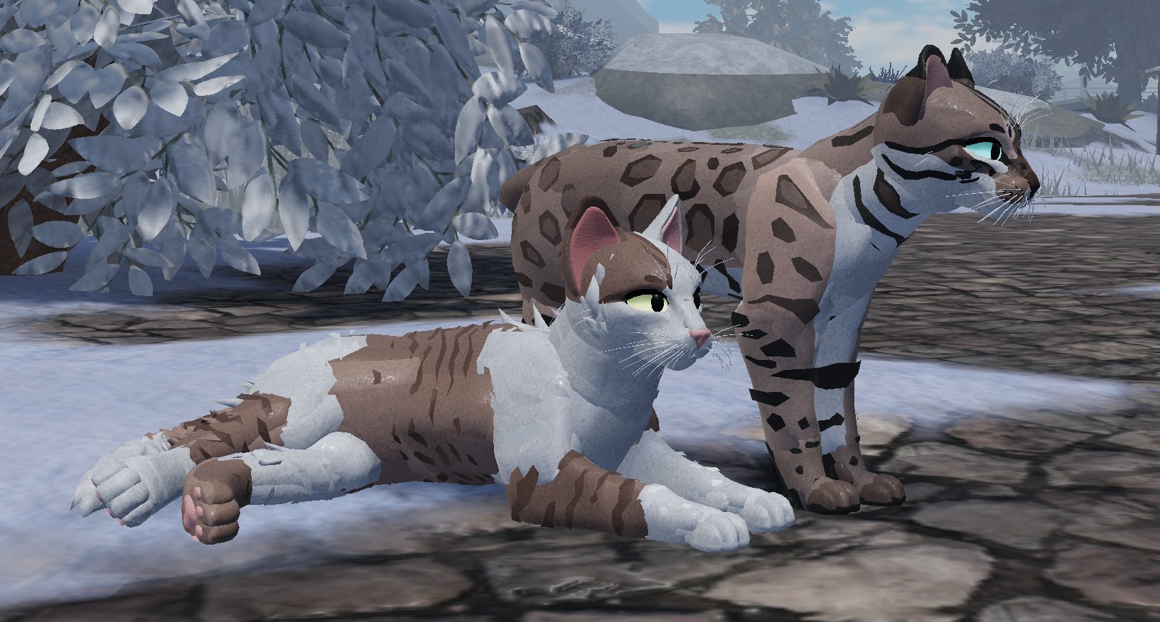 Spring Code Ideas?!? Warrior Cats Ultimate Edition