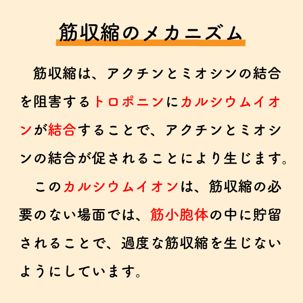 riha_note's tweet photo. 筋緊張について正しく理解していますか？

「筋緊張が高い=マッサージ」と思考停止しないよう、ここは理解しておきましょう。
なぜ筋緊張を緩和させる必要があるのか意識して行う必要があります。 https://t.co/2LAGXqSaRG