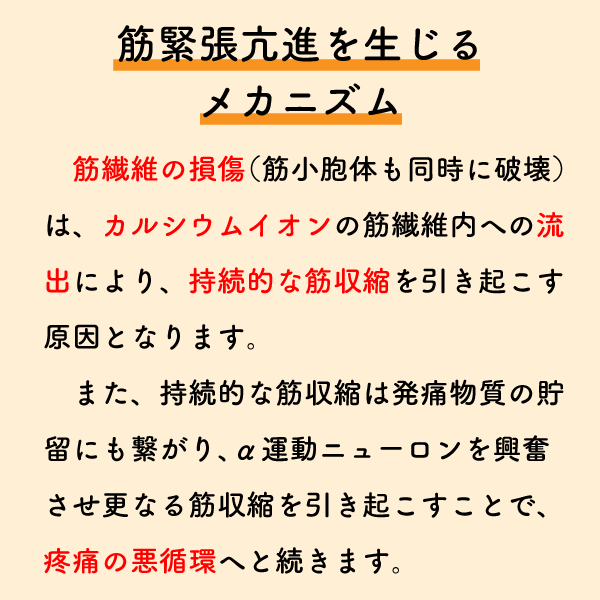 riha_note's tweet photo. 筋緊張について正しく理解していますか？

「筋緊張が高い=マッサージ」と思考停止しないよう、ここは理解しておきましょう。
なぜ筋緊張を緩和させる必要があるのか意識して行う必要があります。 https://t.co/2LAGXqSaRG