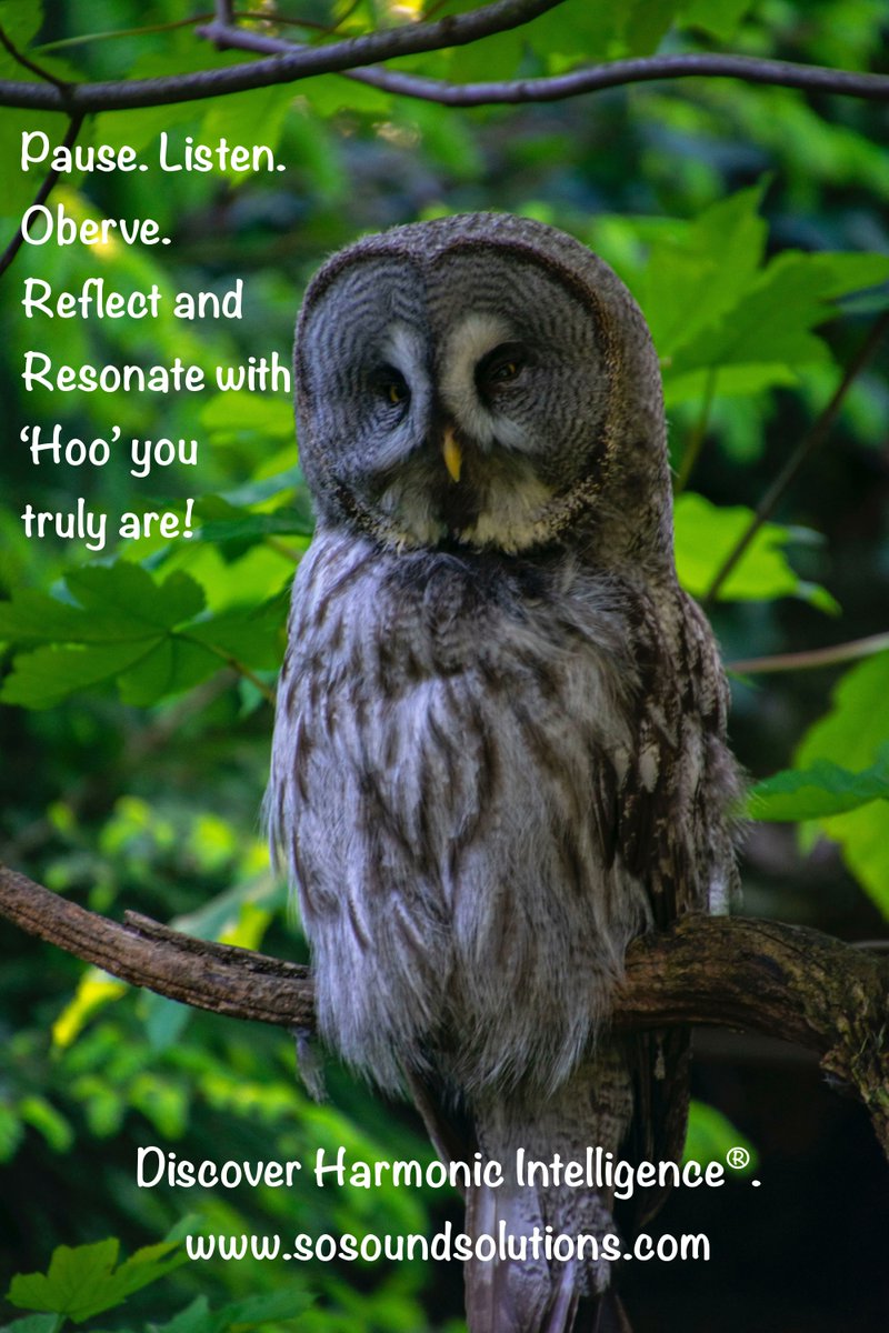 SoSoundSolution's tweet image. 