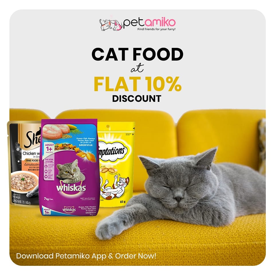 petamiko_app's tweet photo. We have the Purrrrrrfect Food options that your kitty can’t resist.

Place your orders via Petsmall on Petamiko app now.

#catfood #cats #catsoftwitter #orderonline #petsmall #petamiko https://t.co/7FvigQlvA1