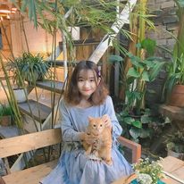 Lê Phương tweet media