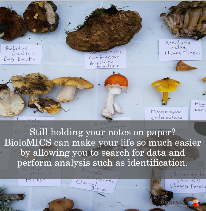Bio_Aware's tweet image. Are you still having your notes written op paper?
Or do you use Excel, but do you experience limitations?

With BioloMICS you can store any type of data.
The database is flexible, allowing you to create the structure that fits your needs.

 bio-aware.com