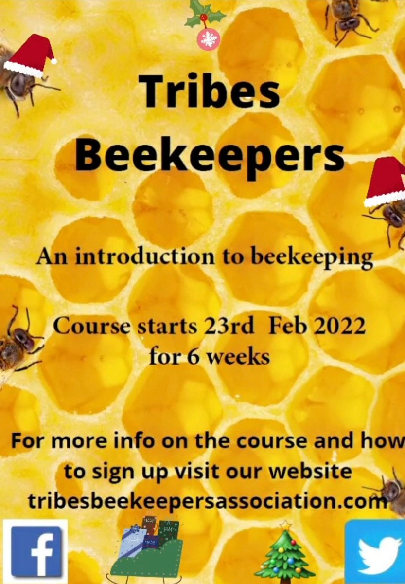 Tribes Beekeepers tweet media