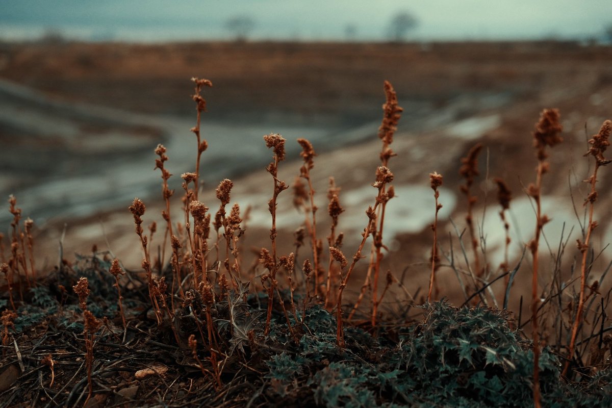 stani_film (@stanislavcekan) on Twitter photo 