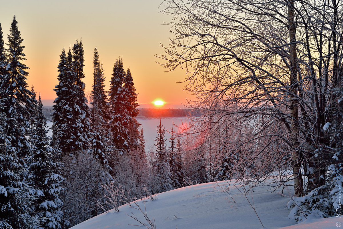 Зимнее утро. Декабрьское утро Тютчев. Рассвет в лесу зимой. Утро зимой.