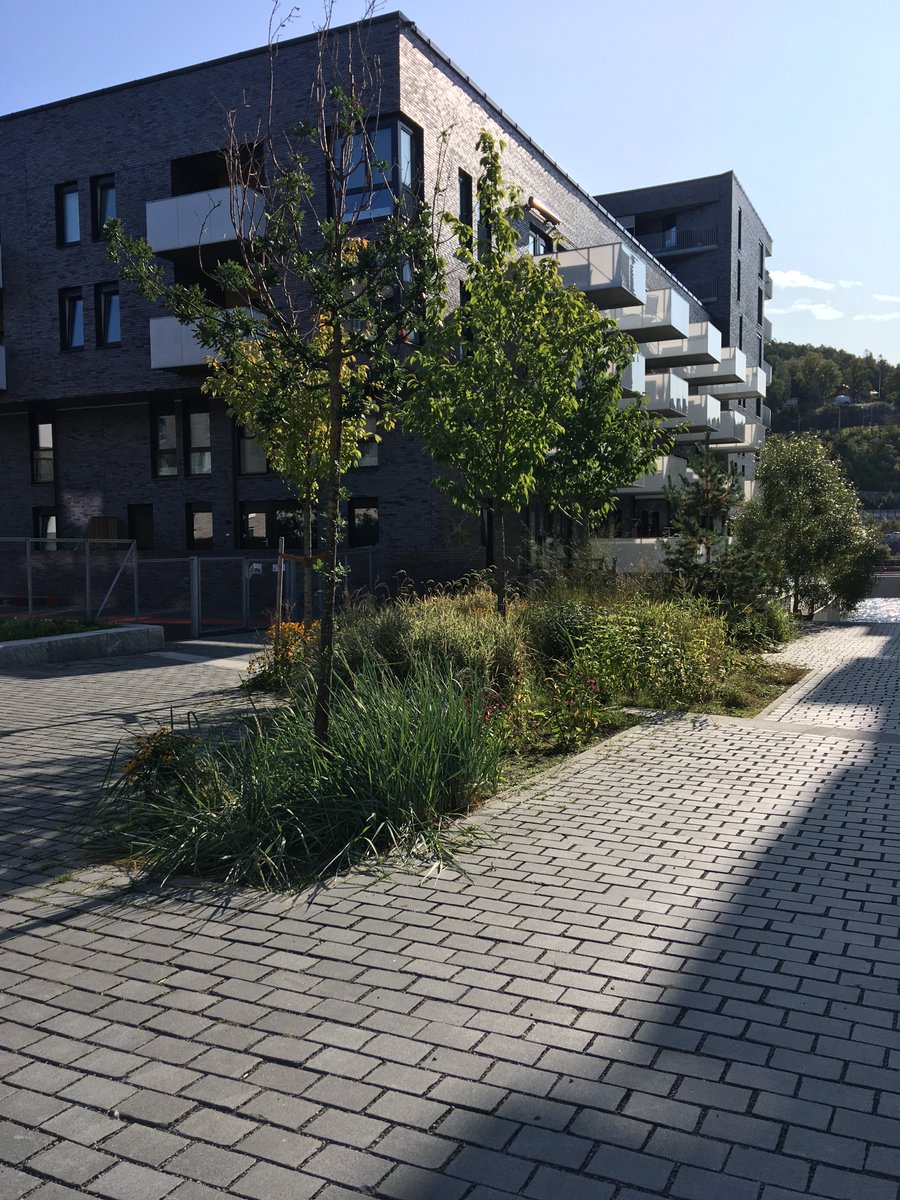 Really looking forward to working closely with <a href="/ScotlandsTowns/">Scotland's Towns</a> in 2022.
greenactiontrust.org/green-action-t…