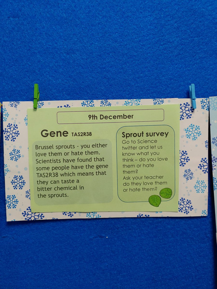 Science_CHS's tweet image. #scienceadvent a quick catch up!