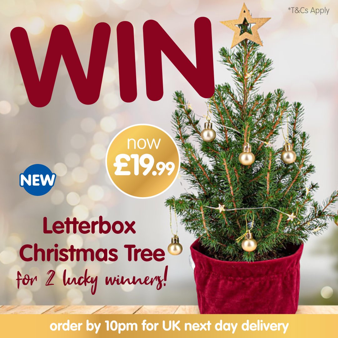 bmstores's tweet photo. 🎄 FLOWER #COMPETITION TIME🎄

Did you know you can buy a letterbox Christmas tree from B&amp;M (with next day UK delivery too!) https://t.co/K1OMsCJ3RW

We've got TWO to giveaway - for your chance to #WIN, simply 

1) FOLLOW
2) RT
3) COMMENT #BMFlowers

Competition ends 9am 16/12/21 https://t.co/pIbOi3dqL7