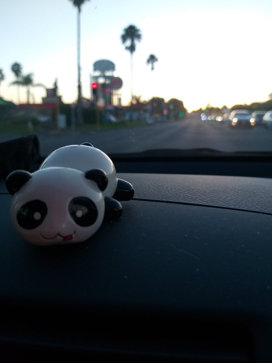 Lisa_Zate's tweet image. 🐷いこまいかい運動部🌸🌼
✅腹筋40回往復
✅walking 40min  
仕事帰り。
1日中の雨がやみやっと夕日が。
泣ける....😭🎶
今日もお疲れさまでした。
ありがとうございました。
また明日～🙋
#ダイエット倶楽部 #老化防止 #exerciselover #水2L