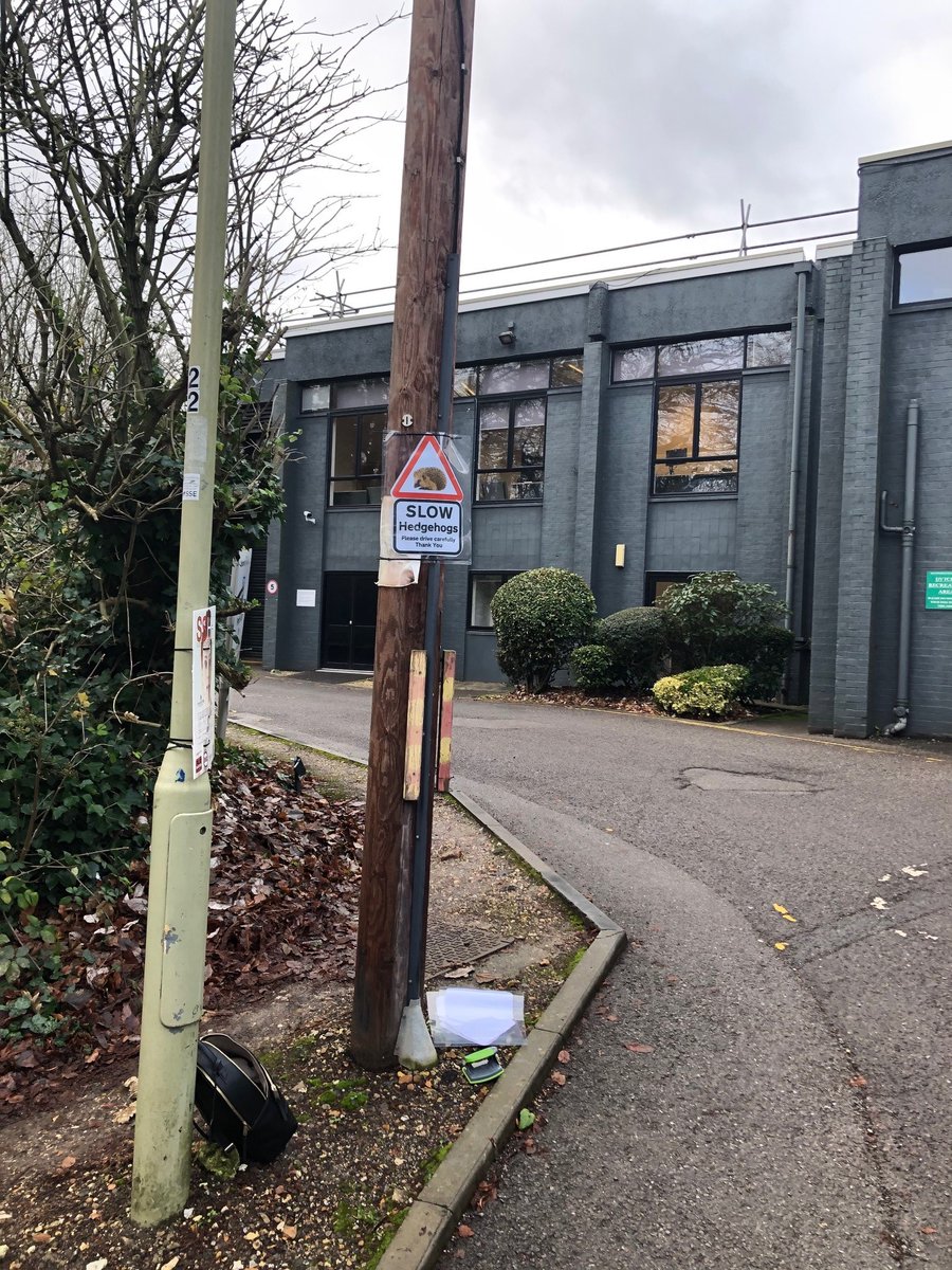 Winchester University Hedgehog Friendly Campus tweet media